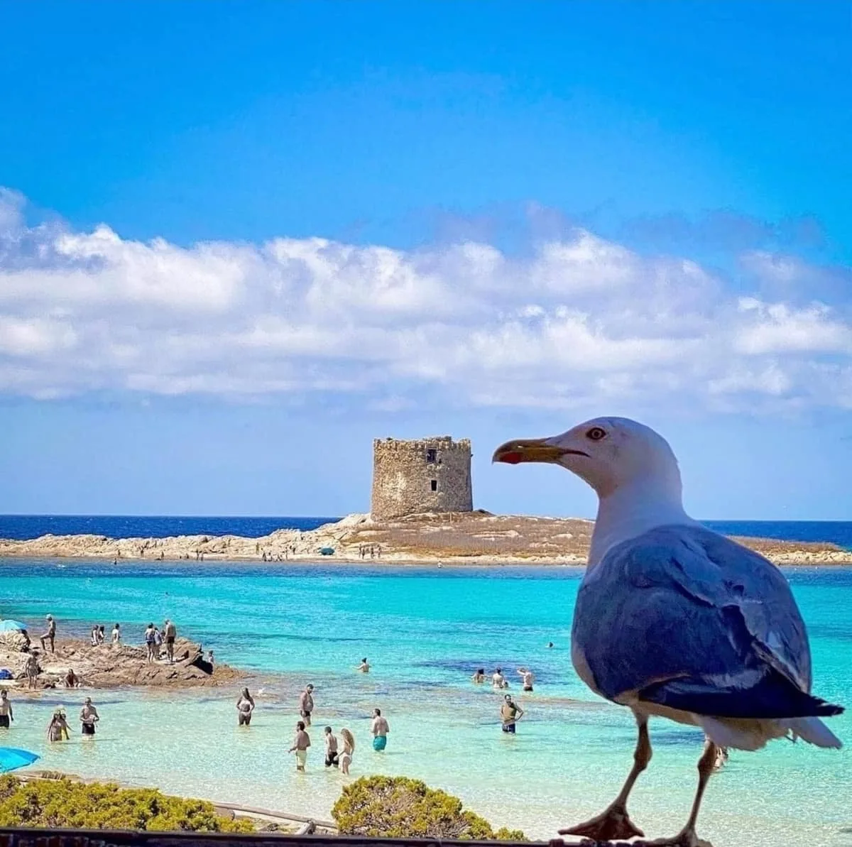 Villetta Esclusiva sulla Spiaggia della Pelosa foto 47