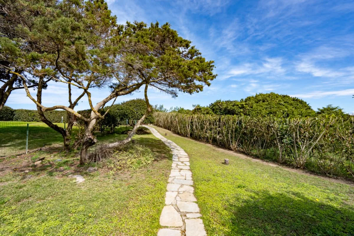 Villa con Giardino sulla Spiaggia della Pelosa foto 16