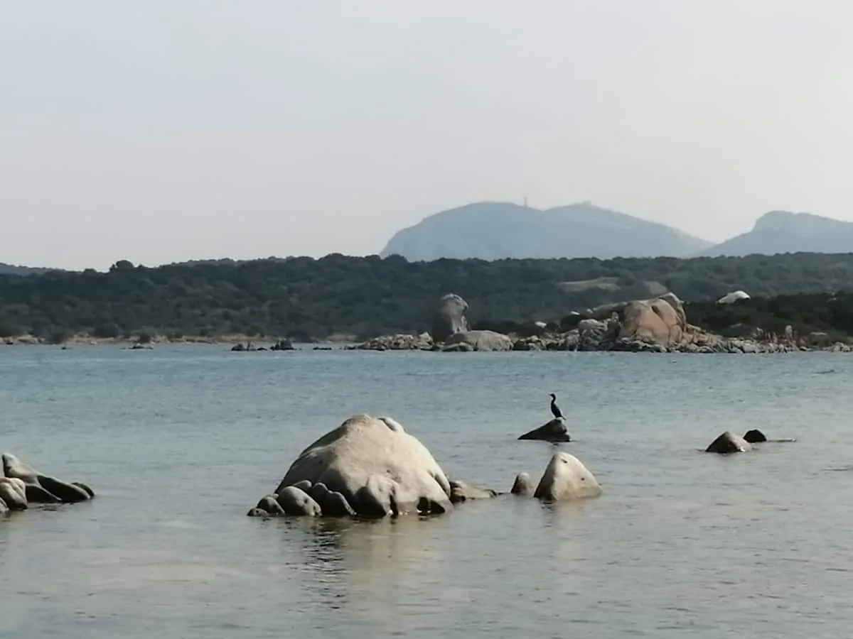 Meraviglioso Appartamento sulla Spiaggia foto 17