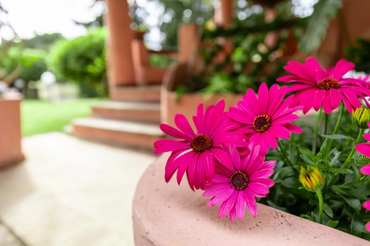 Villa con Giardino a pochi passi dalla Spiaggia foto 9