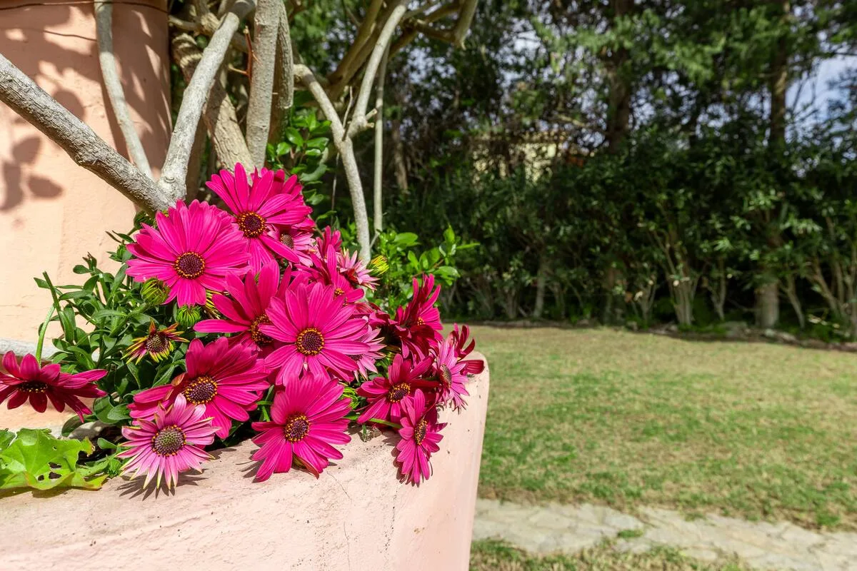 Villa con Giardino a pochi passi dalla Spiaggia foto 24